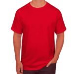 Premium Cotton Roundneck T-Shirt - Image 16